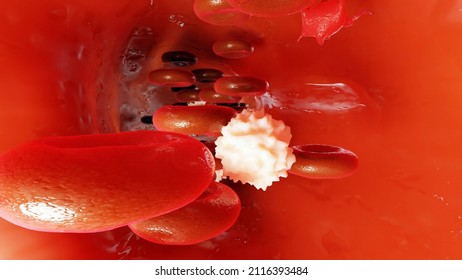 Red Blood Cells In An Artery, Flow Inside Body, Medical Human Health-care. 3d Illustration	