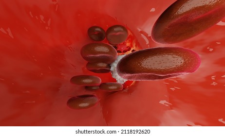 Red Blood Cells In An Artery, Flow Inside Body, Medical Human Health-care. 3d Illustration	