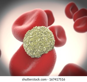 Red blood cells cholesterol