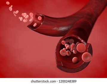 Red Blood Cells, Erythrocyte Cell, Flow Of Red Blood Cells Inside A Vein, Section Of A Vein, 3d Rendering