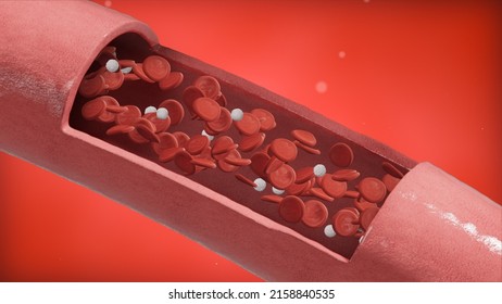 Red Blood Cells Erythrocytes With Leukocytes Flow Inside An Artery, Cross Section Artery View. 3D Rendering