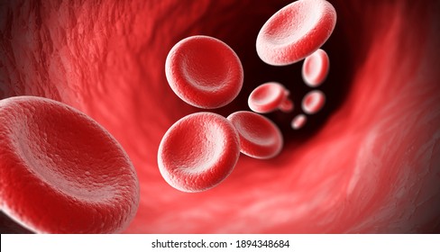 Red Blood Cells Flow Through Veins, Human Body System, 3d Rendering.