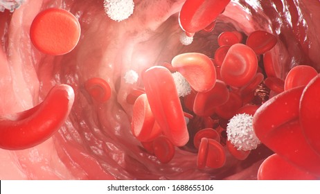 Red blood cells inside an artery, vein. Flow of blood inside a living organism. Scientific and medical concept. Transfer of important elements in the blood to protect the body. 3d illustration