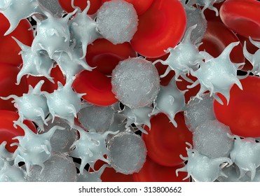 red blood cells,activated platelet and white blood cells due to leukemia microscopic photos