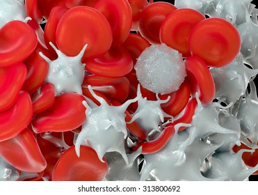 red blood cells,activated platelet and white blood cells due to leukemia microscopic photos