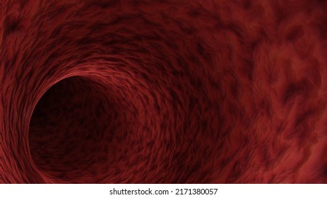 Red Blood Vessel Of A Human. Concept Of Medicine And Anatomy. Texture Of Blood Vessels, 3d Rendering