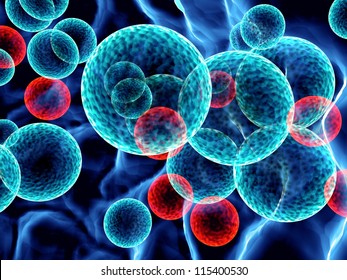 red and blue cells