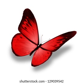 31,152 Red butterfly flying Images, Stock Photos & Vectors | Shutterstock