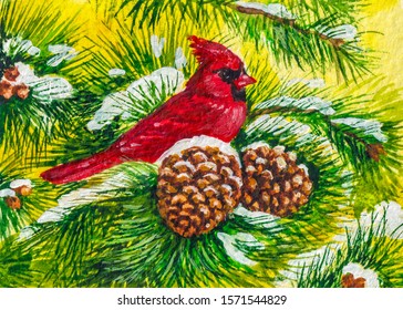 Red Cardinal Bird On Pine Tree. Cold Winter Season With Snow. 