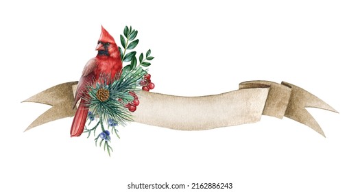 Red cardinal bird on vintage banner. Watercolor winter illustration. Rustic floral winter decoration. Hand drawn cardinal bird, vintage banner, pine branches, berries. Winter festive decor