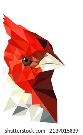 Red Cardinal Head Of A Bird