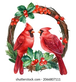 Red cardinal on an isolated white background, winter animal. Watercolor painting, Winter birds, holiday wreath.