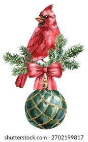 Red cardinal with pine branches red bow and green ornament festive winter Watercolor botanical illustration for holiday decor