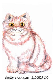 Red cat with yellow eyes hand drawing illustration