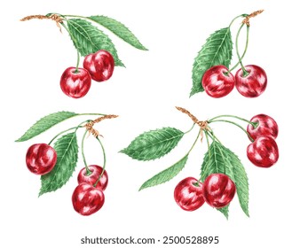 Red cherry branch with green leaf. Juicy hand drawn watercolor collection. Delicious food art, fresh botanical realistic painting. Summer berry clipart for menu, prints for farm goods, vegan product - Powered by Shutterstock