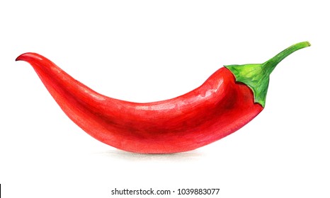 Red Chili Isolated On White, Hand Drawing.