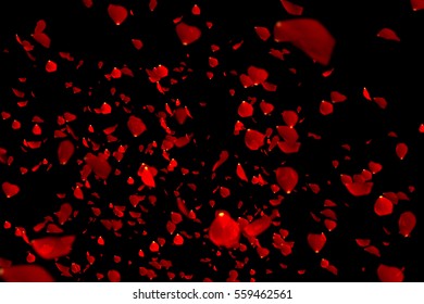 78,939 Petals flying Images, Stock Photos & Vectors | Shutterstock