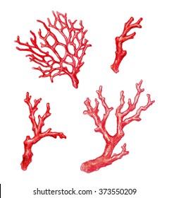 Red Coral Branch, Watercolor Illustration, Isolated On White Background