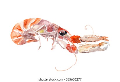 Red crayfish (crawfish, cray fish). Watercolor seafood