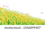 Red dragonflies and rice fields on white background; Cartoon clipart