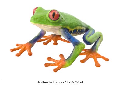 Red Eyed Tree Frog 3D Illustration On White Background