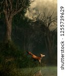 A red fox stands in long grass at the edge of a hazy green pond lined with twisted trees in a dense swamp.  This small predator appears to be startled by something on the other shore. 3D Rendering