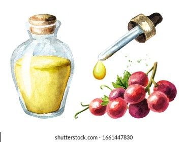 Red Grape Essential Oil Set. Hand Drawn Watercolor Horizontal  Illustration  Isolated On White Background