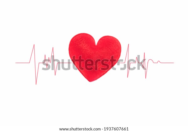 Red heart with wave graph on white\
background with copy space on medical\
concept