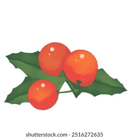 Red holly berries on a branch and holly leaves color illustration watercolor and digital for printing and web design of postcards and cards - Powered by Shutterstock