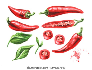 Red hot chili pepper, whole pods, chopped, halved, and sliced set with green leaf. Hand drawn watercolor illustration  isolated on white background - Shutterstock ID 1698237547