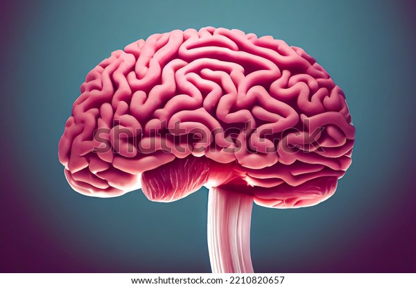 Red human brain, with\
frontal temporal and parietal lobe, minimalist on plain background,\
3D illustration