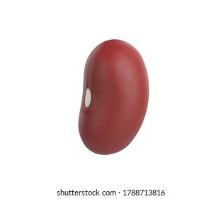 Red Kidney Beans In 3D Rendering.