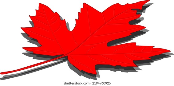 Red Leaf, Autumn Leaf, Winter Leaf, Canada Flag Leaf Lying With Shadow Season