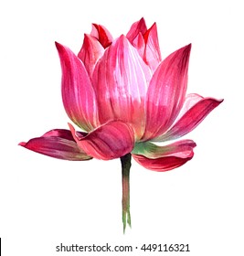 Red Lotus