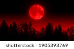 Red moon light forest image