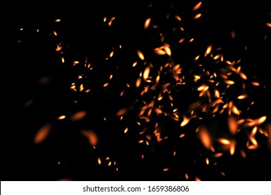 315,793 불꽃 파티클 Images, Stock Photos & Vectors | Shutterstock