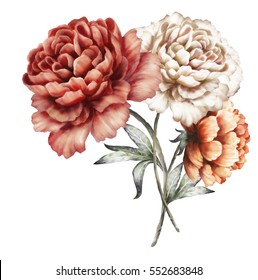 Red Peonies Watercolor Flowers Floral Illustration Stock Illustration ...