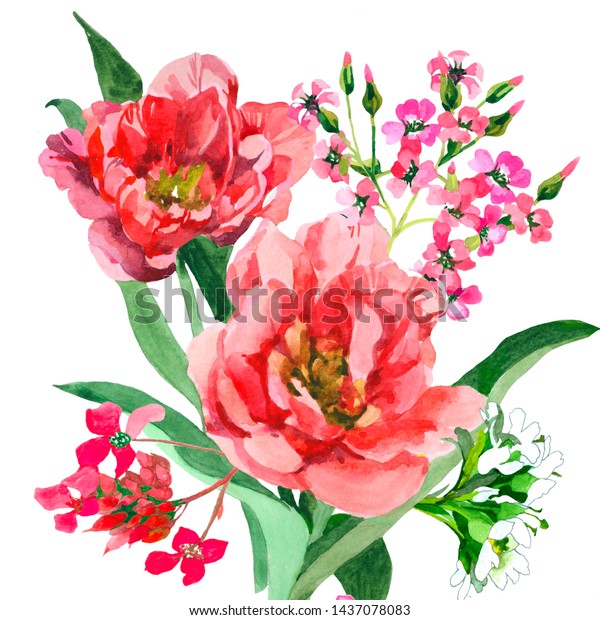 赤とピンクの花は 手描きのすべての絵のスタイルに合わせて 白い背景イラストに水彩を予算に入れています のイラスト素材
