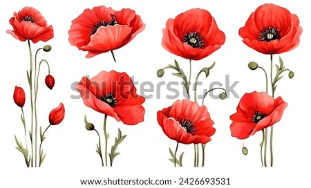 Similar – Image, Stock Photo Red poppies and poppy buds against a blue sky