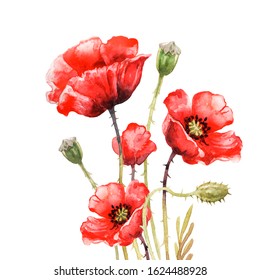 poppy and blossom
