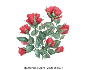 Red rose bouquet. Elegant flowers and green leaves on stem. Romantic flower. Vintage realistic botanical roses. Watercolor illustration of summer romantic plants. For wedding greeting, for memory day - Powered by Shutterstock