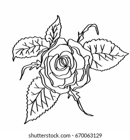 Red Rose Coloring Stock Illustration 670063129 | Shutterstock