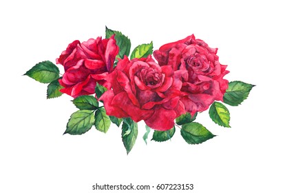 Red Rose - Floral Bouquet. Watercolor