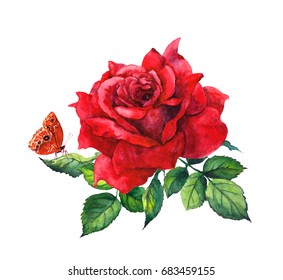 Red Rose Flower With Butterfly. Botanical Watercolor Illustration