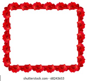 Red rose frame