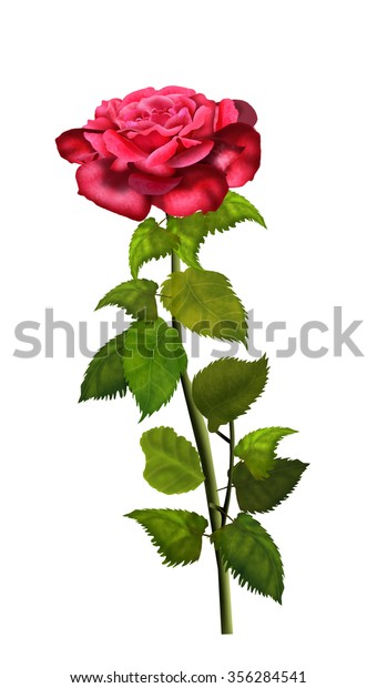 Red Rose Isolated On White Background Stock Illustration 356284541