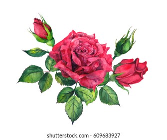 Red Rose With Leaves And Buds. Watercolor