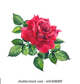 Red Rose With Leaves. Watercolor For Wedding, Save Date Card