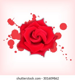 Red rose with splashes. Bloody splashes with a rose