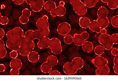 Blood Cells Under Microscope Seamless Texture Stock Illustration ...